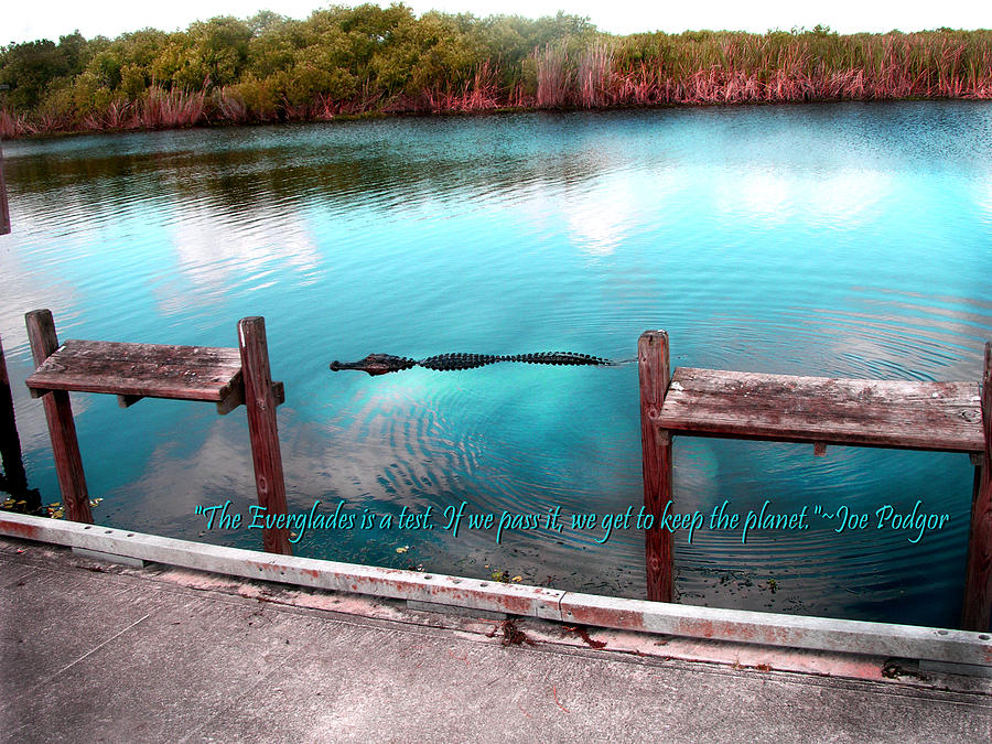 Just Walk on By... Photograph by Judy Paleologos Fine Art America