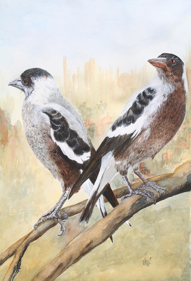 Bird Painting - Juvenile Maggies by Jan Lowe