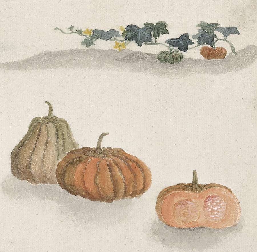 Pumpkin Digital Art - Kabocha squash by Aged Pixel