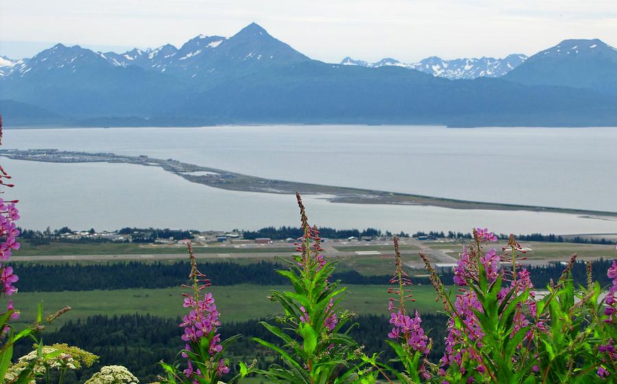 Homer Alaska Photograph - Kachemack Bay from Skyline Drive by Lisa Dunn