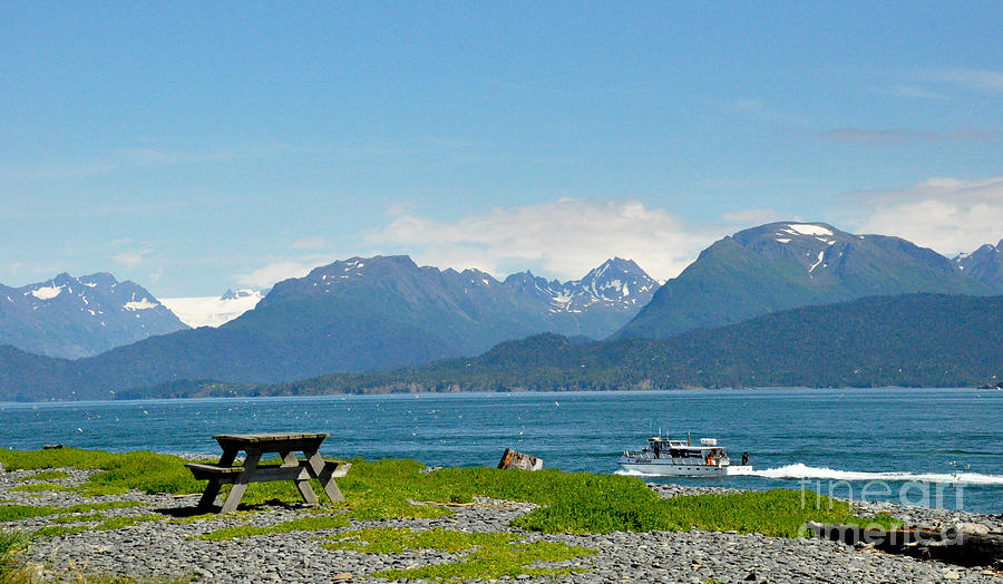 Kachemak Bay in Homer Alaska Photograph by Tatyana Searcy