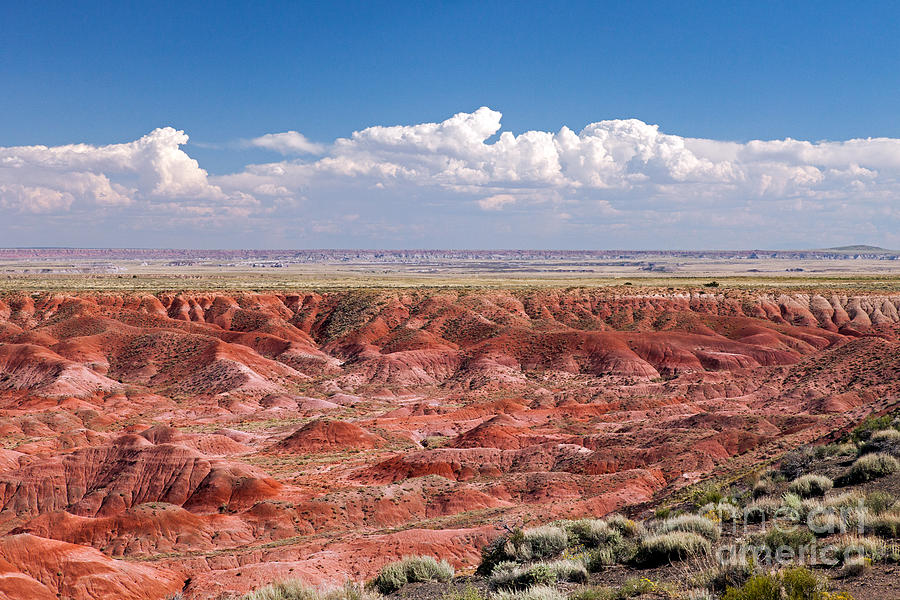 Kachina Point Painted Desert Petrified Forest National Park Photograph by Fred Stearns