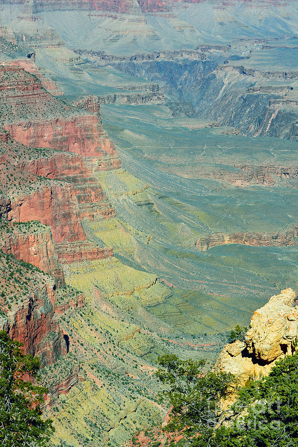 Kaibab Trail View Grand Canyon National Park Photograph by Shawn OBrien