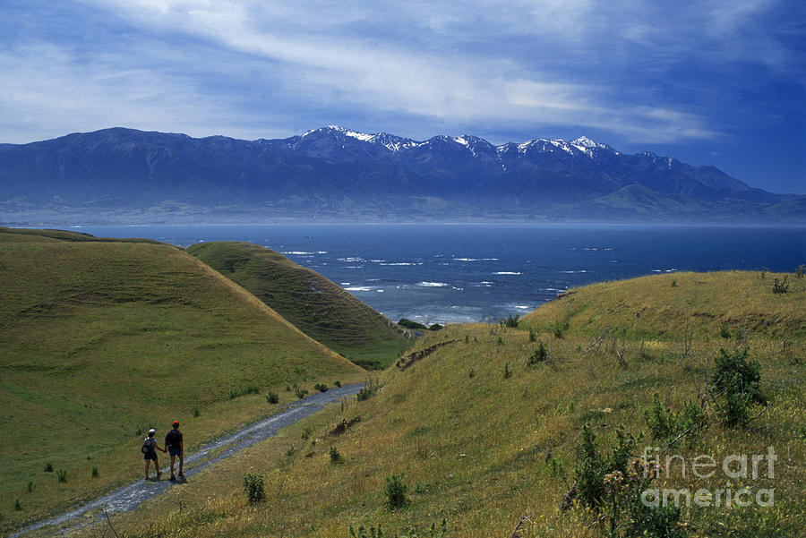Kaikoura Coastline New Zealand Photograph by Craig Lovell