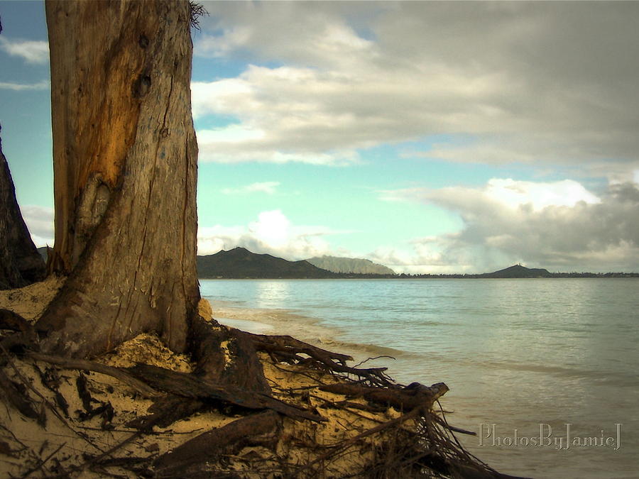 Kailua Beach Photograph by Jamie Johnson