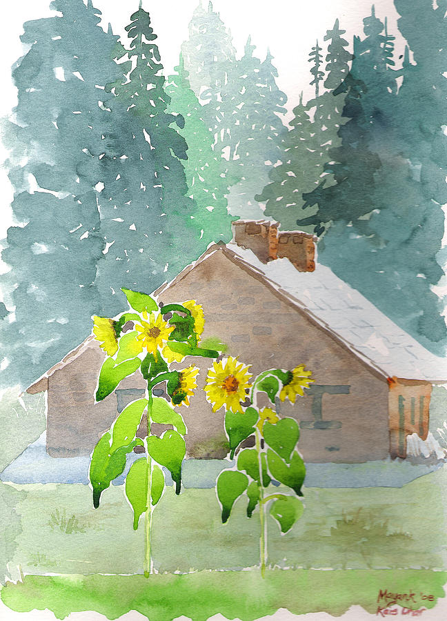 Kais Dhar Sunflowers Painting by Mayank M M Reid