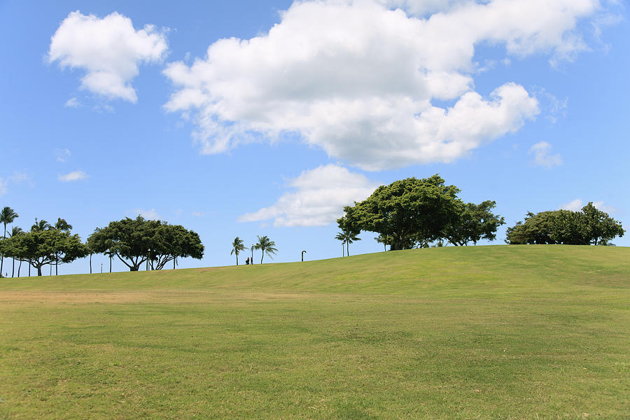 Kakaako Park Photograph by Brandon Tabiolo - Pixels