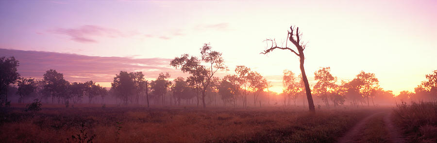 Kakadu National Park Photograph - Kakadu National Park Northern Territory by Panoramic Images