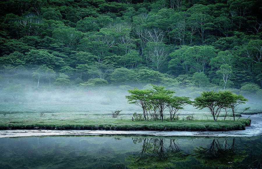 Kakumanbuchi Marsh Photograph by Teruo Araya