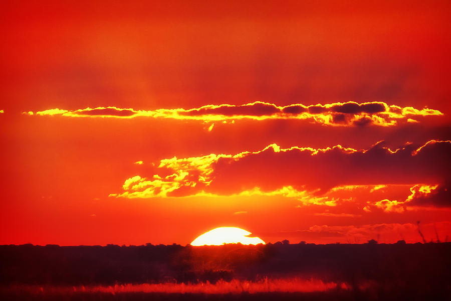 Kalahari Sun Photograph by Sylvia J Zarco