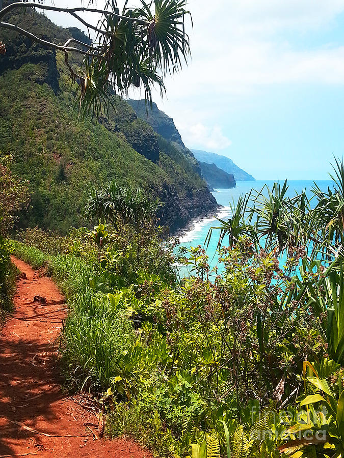 Hawaii Photograph - Kalalau Trail 2 by Joseph J Stevens