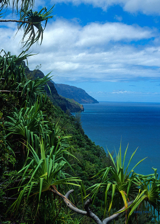 Nature Photograph - Kalalau Trail Kauai by Kathy Yates