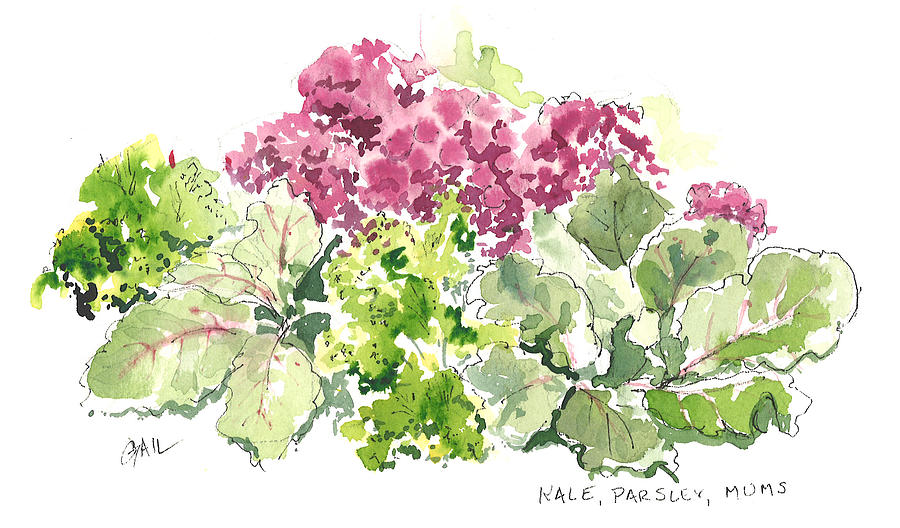 Kale Painting - Kale Parsley Mums by Gail Ishmael Kale Painting - Kale Parsley Mums by Gail Ishmael
