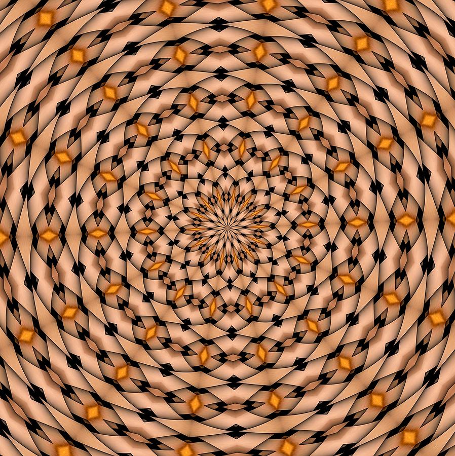 Kaleidoscope 1 Digital Art by Ronald Bissett
