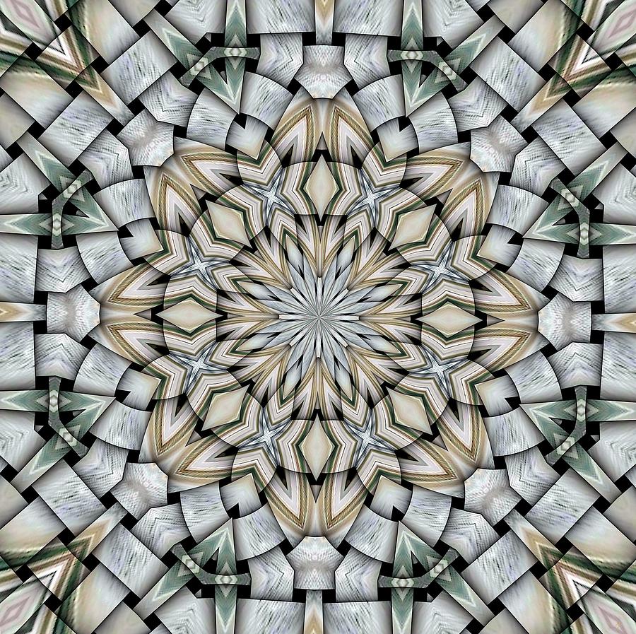 Kaleidoscope 10 Digital Art by Ronald Bissett