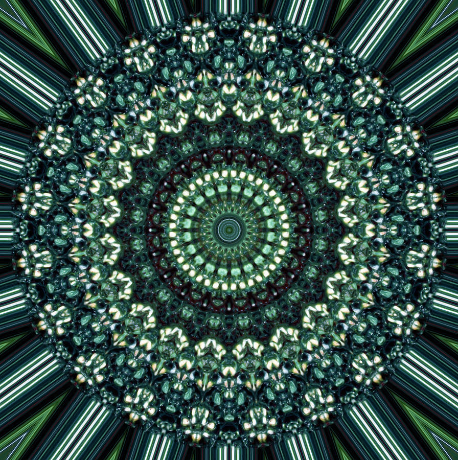 Kaleidoscope 10 Painting by Tom Druin