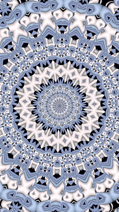 Kaleidoscope 12 Digital Art by Ronald Bissett