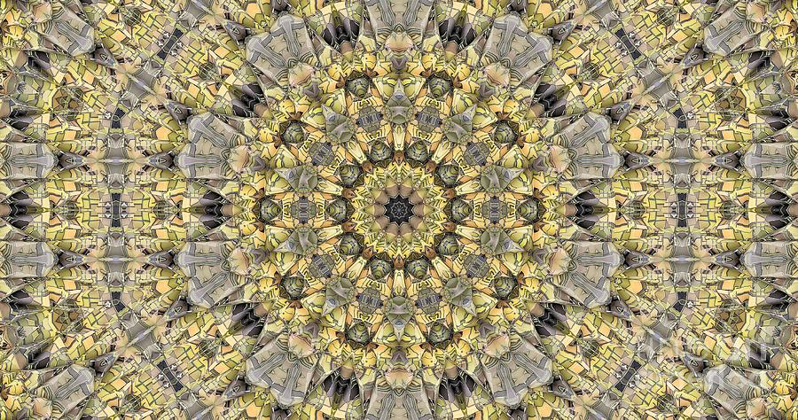 Kaleidoscope 17 Digital Art by Ronald Bissett