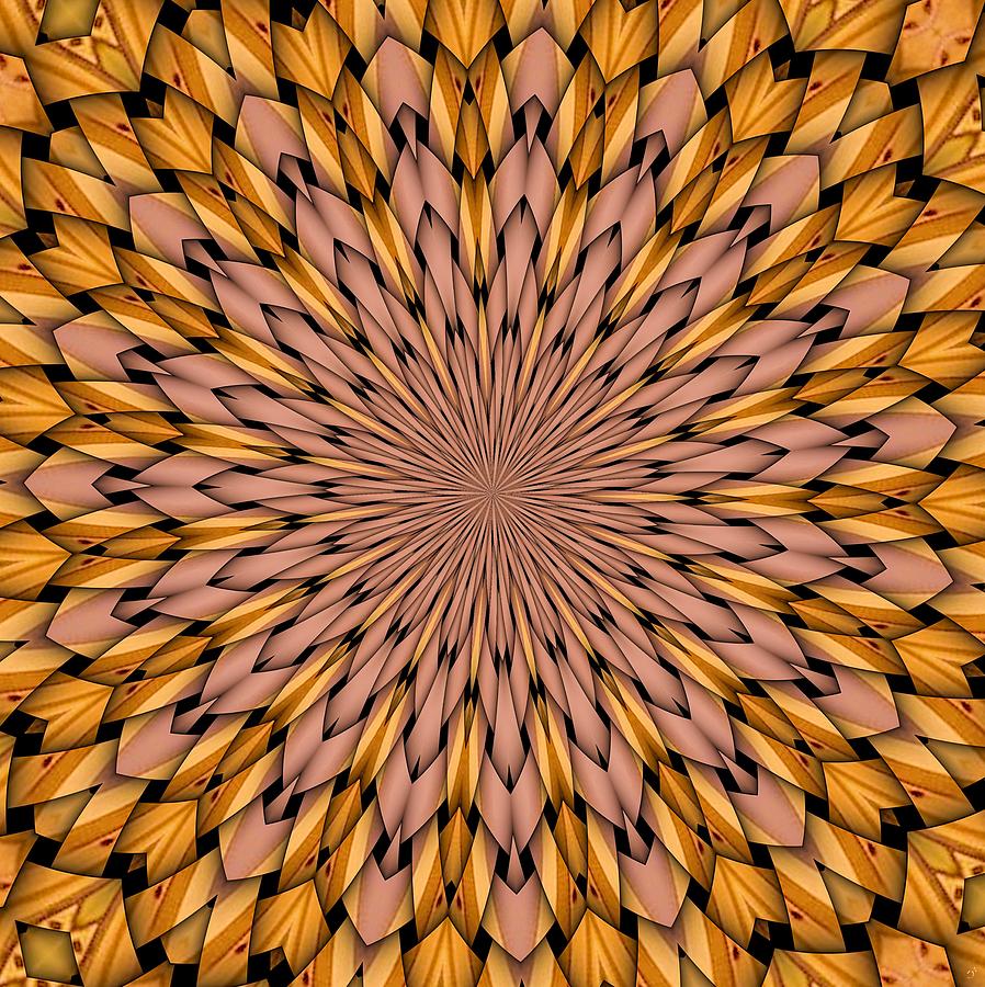 Kaleidoscope Digital Art - Kaleidoscope 2 by Ronald Bissett