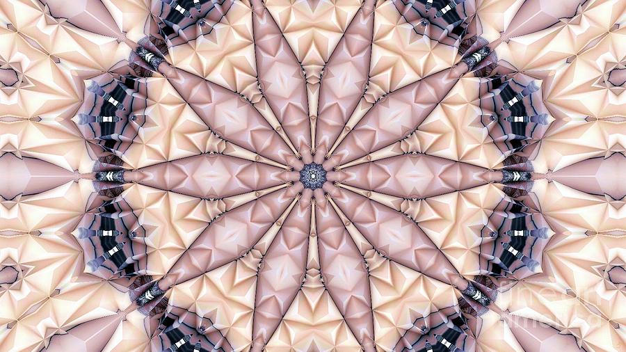 Kaleidoscope 20 Digital Art by Ronald Bissett