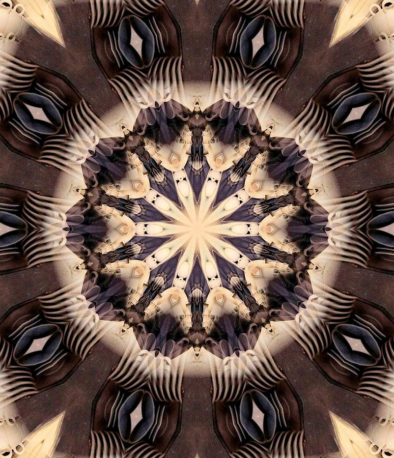 Kaleidoscope 23 Digital Art by Ronald Bissett