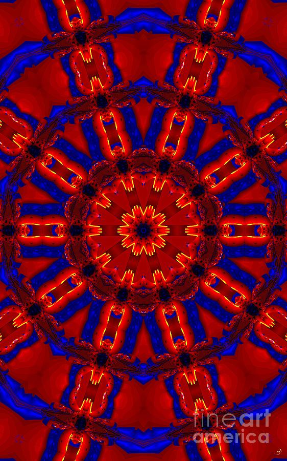 Kaleidoscope 36 Digital Art by Ronald Bissett