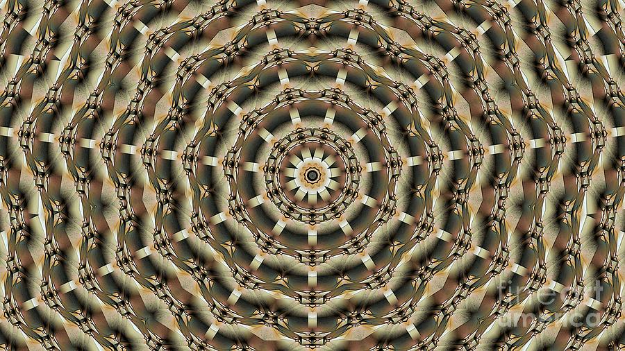 Kaleidoscope 67 Digital Art by Ronald Bissett