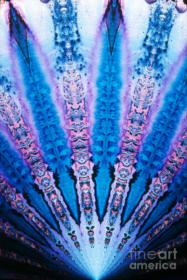 Prism Photograph - Kaleidoscope by Bill Longcore