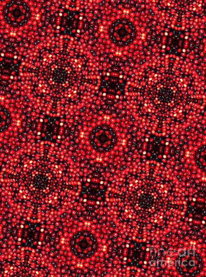 Fruit Digital Art - Kaleidoscope Cranberries by Amy Cicconi