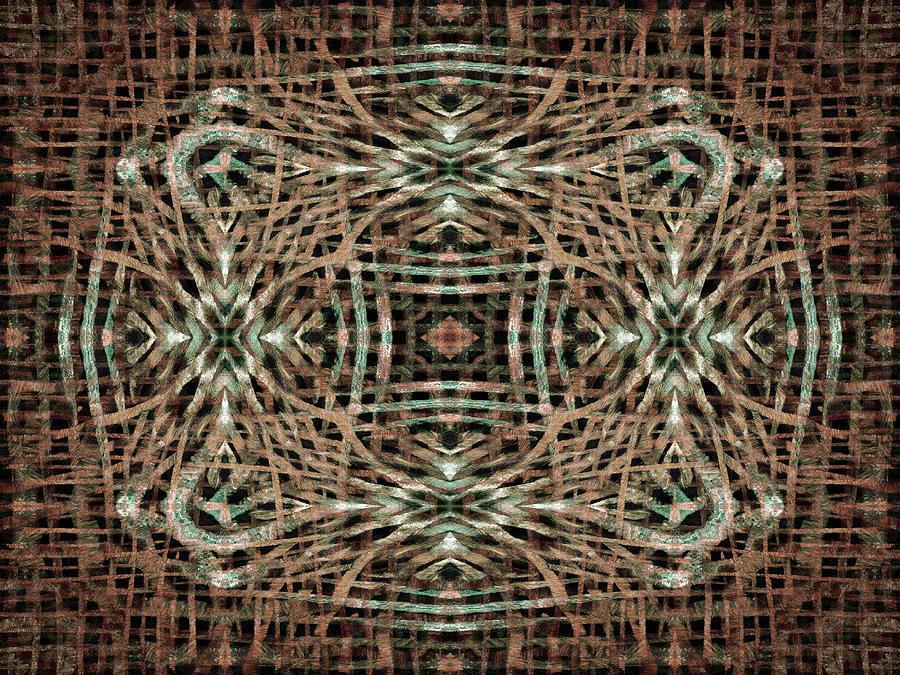 Kaleidoscope Fur 22 Digital Art by Steve Ball