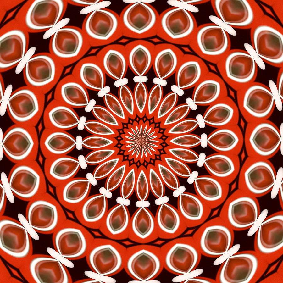 Kaleidoscope in red and black Photograph by Denise Beverly