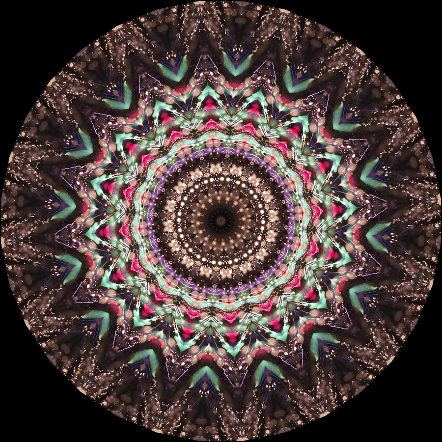 Kaleidoscope Intricate Photograph by Alice Gipson
