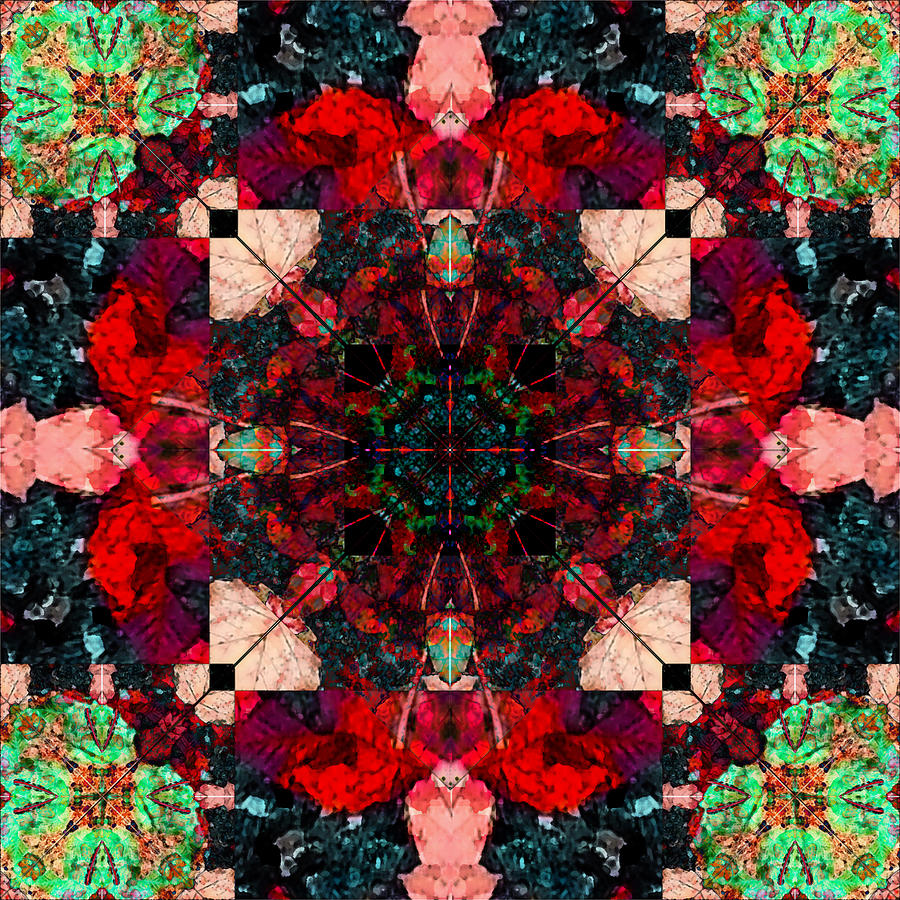 Kaleidoscope Leaves Photograph by Jade Knights