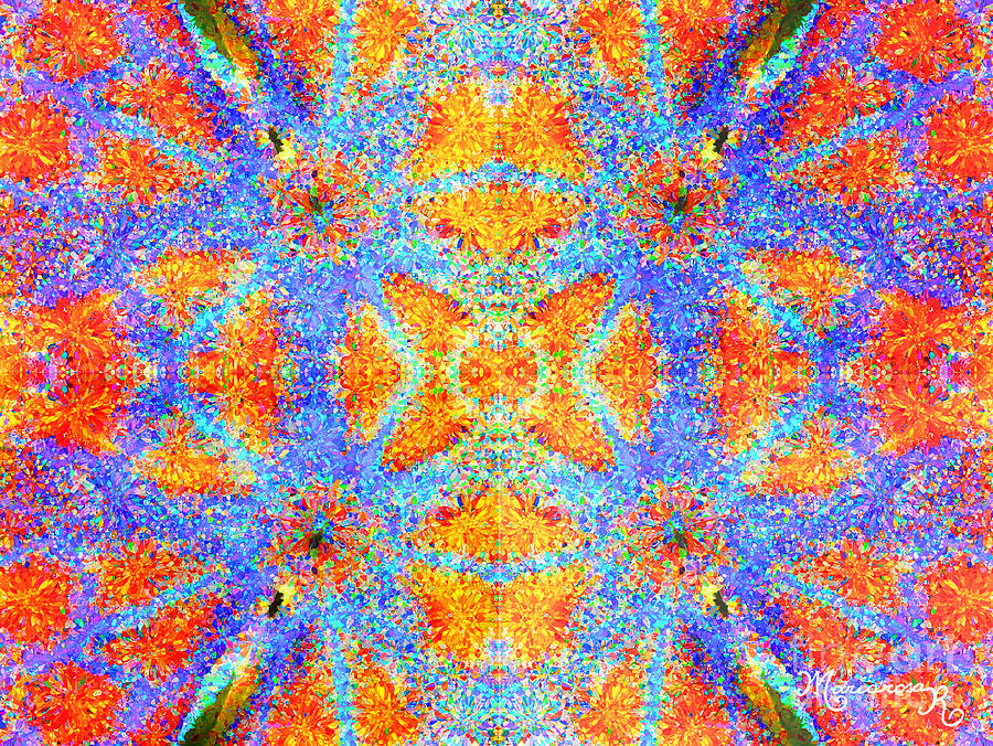 Kaleidoscope Photograph by Mariarosa Rockefeller