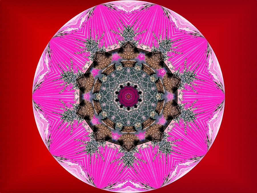 Kaleidoscope Digital Art by Mike Breau