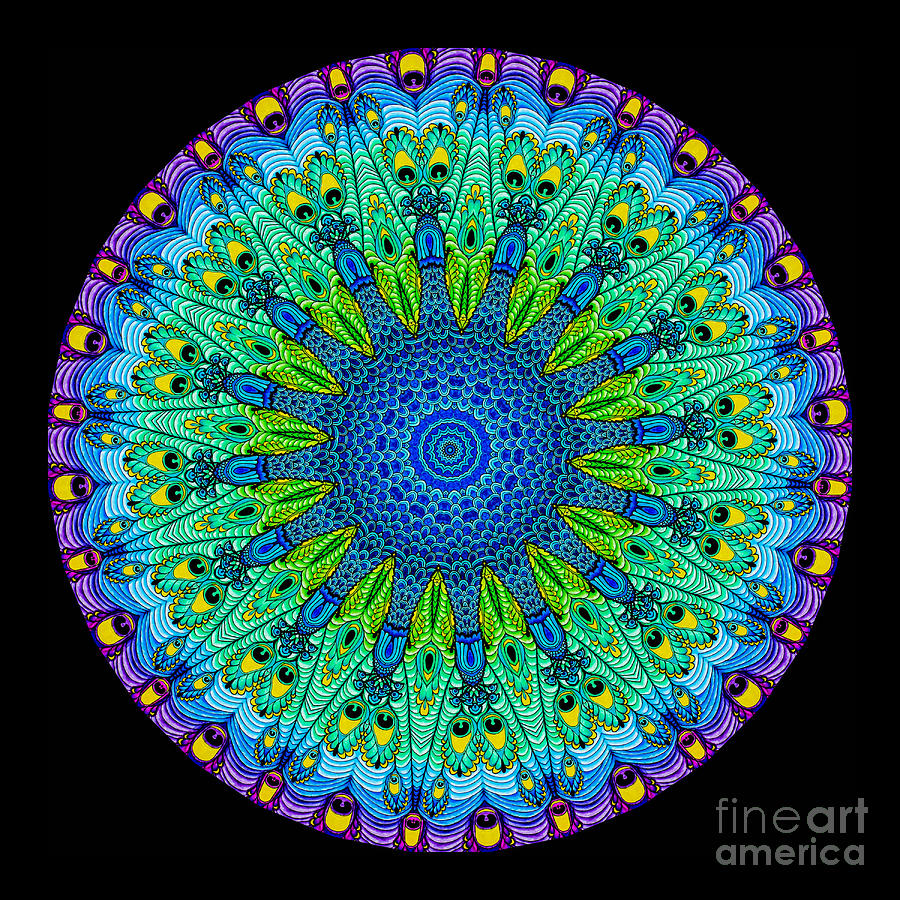 Abstract Photograph - Kaleidoscope Peacock by Amy Cicconi