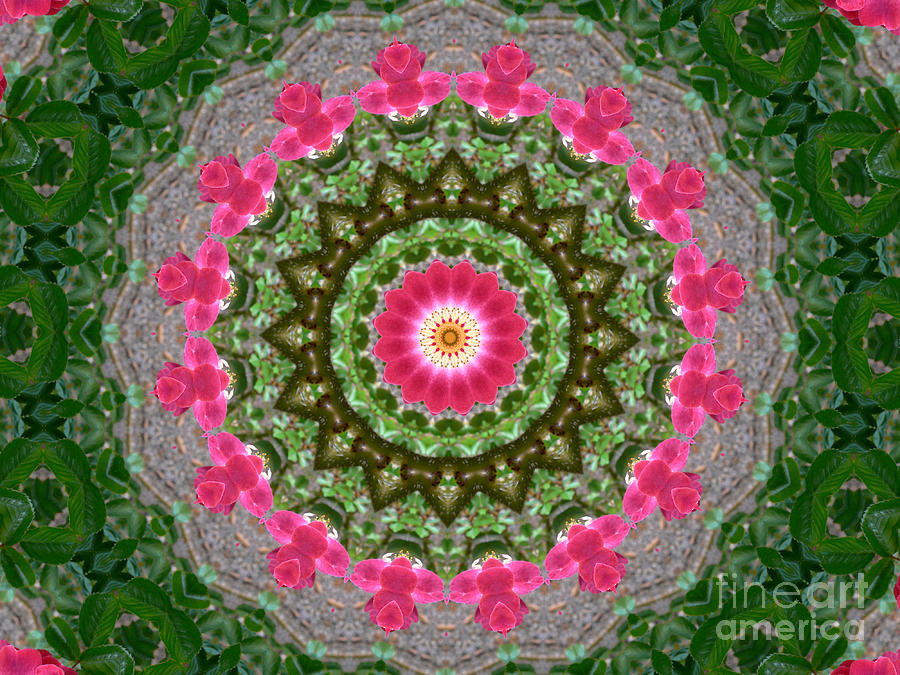 Kaleidoscope Roses in Pink and Green Photograph by MM Anderson