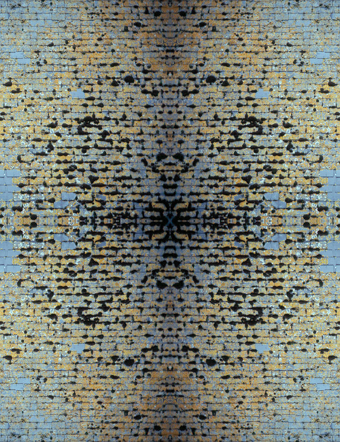 Kaleidoscope - Shingles 1-1 Photograph by Andy Shomock