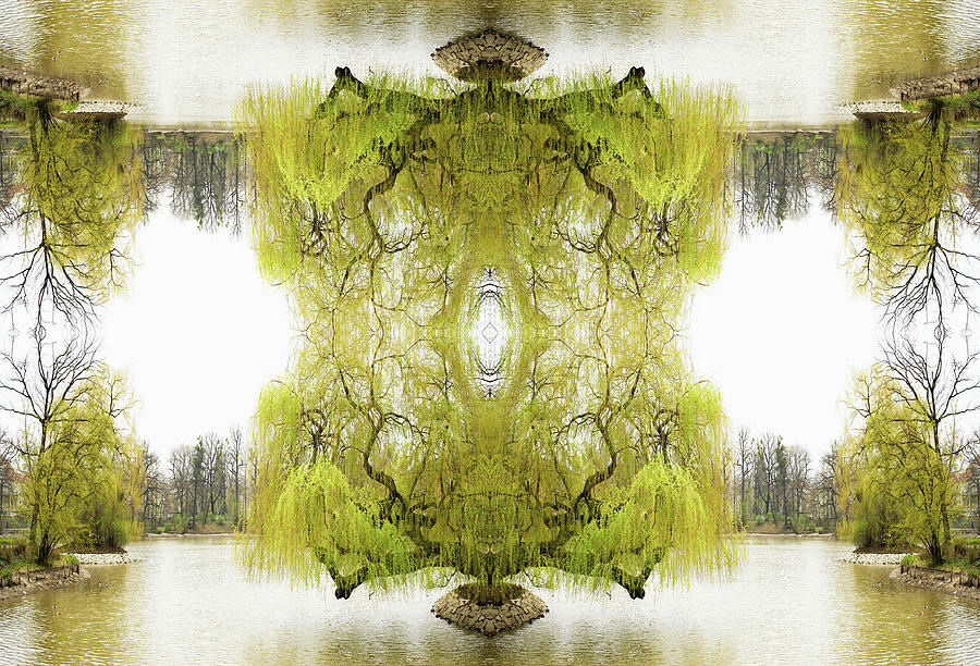 Kaleidoscope Tree On Pond Photograph by Silvia Otte
