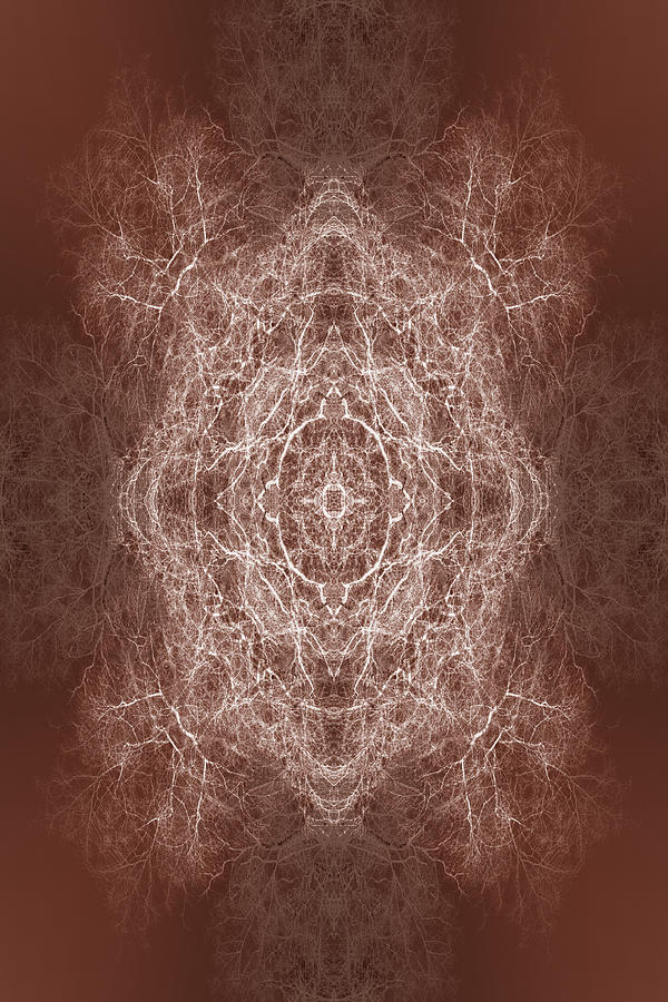 Kaleidoscope tree pattern Digital Art by Steve Ball