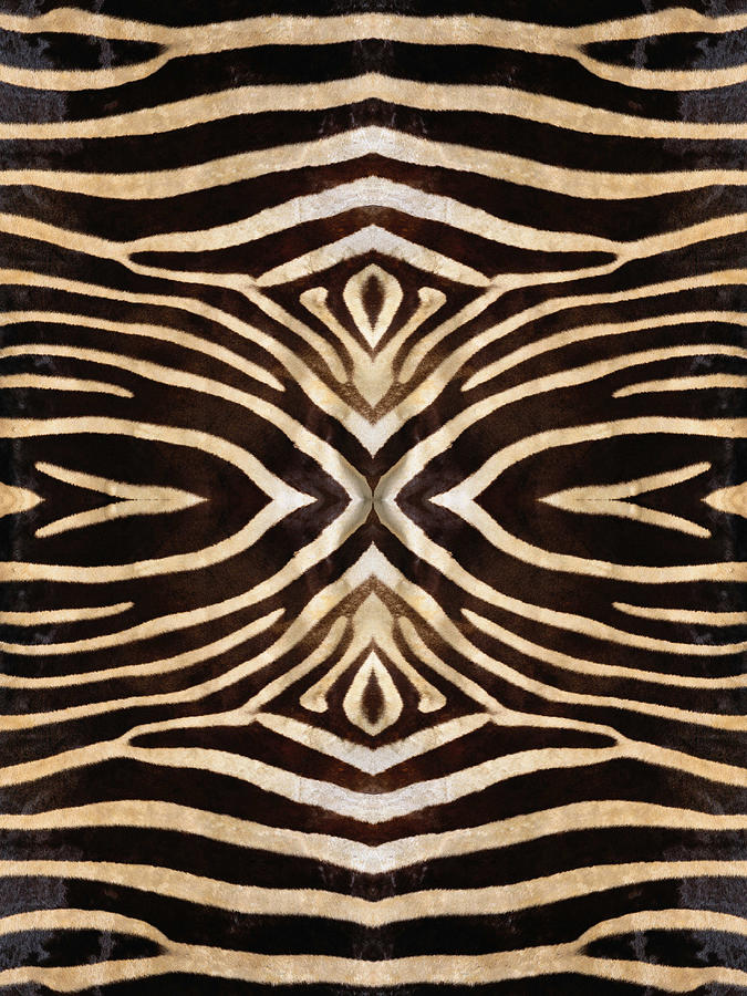 Kaleidoscope Zebra 10 Digital Art