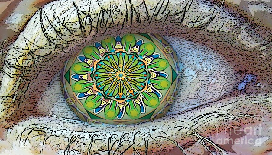 KaleidoscopeEyeq Painting by Shelley Myers