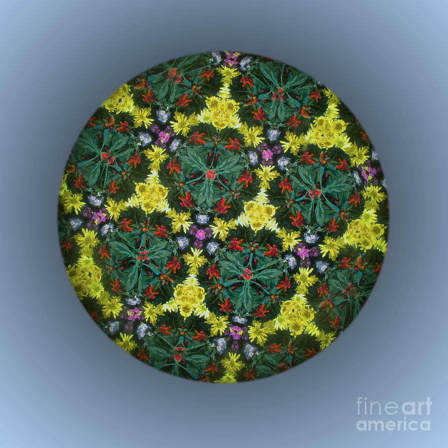 Flower Photograph - Kaleidoscopic Daisy Chain by Ann Horn