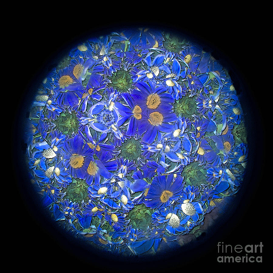 Flower Photograph - Kaleidoscopic Fantasy by Ann Horn