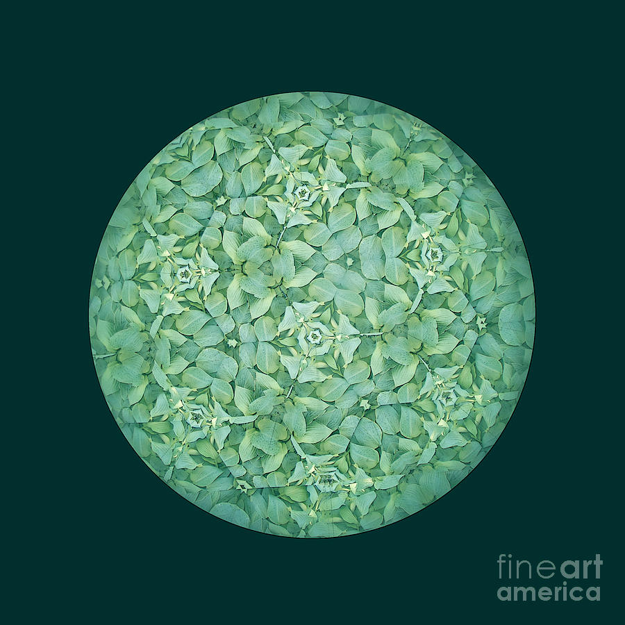 Kaleidoscopic Green Photograph by Ann Horn