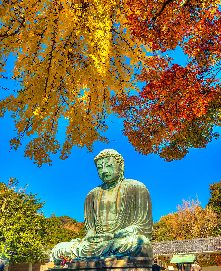 Kamakura Buddha - japan Photograph by Luciano Mortula