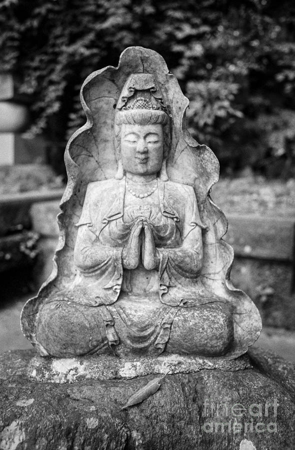 Kamakura Buddha VII Photograph by Dean Harte