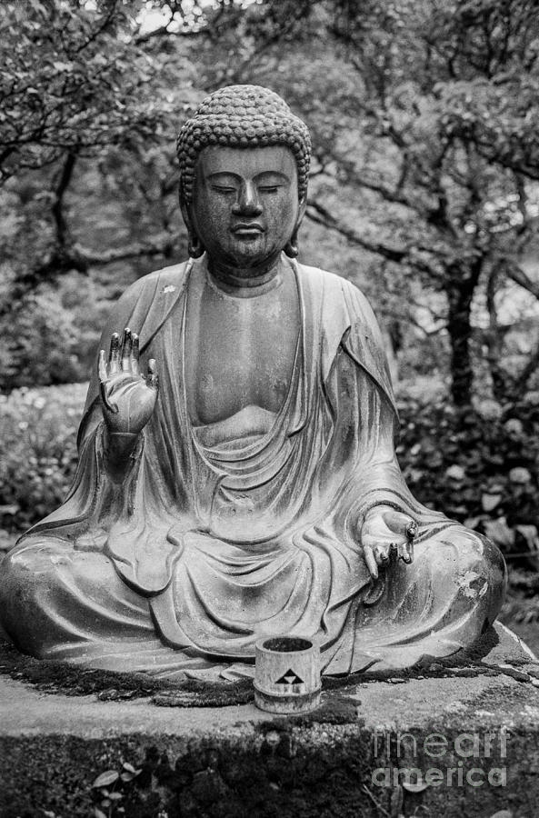 Kamakura Buddha VIII Photograph by Dean Harte