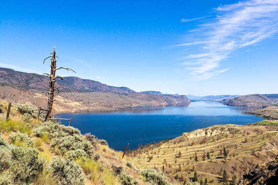 Kamloops Lake Viewpoint Photograph by Michael Russell - Pixels