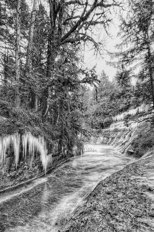 Kanaka Creek Icicles Photograph by Paul W Sharpe Aka Wizard of Wonders